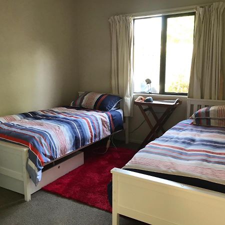 Foot Of Turoa Chalet オハクネ エクステリア 写真